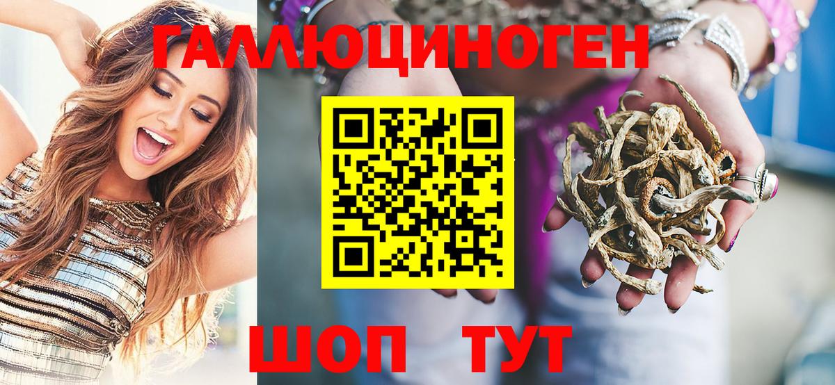 Псилоцибиновые грибы GOLDEN TEACHER Новотроицк