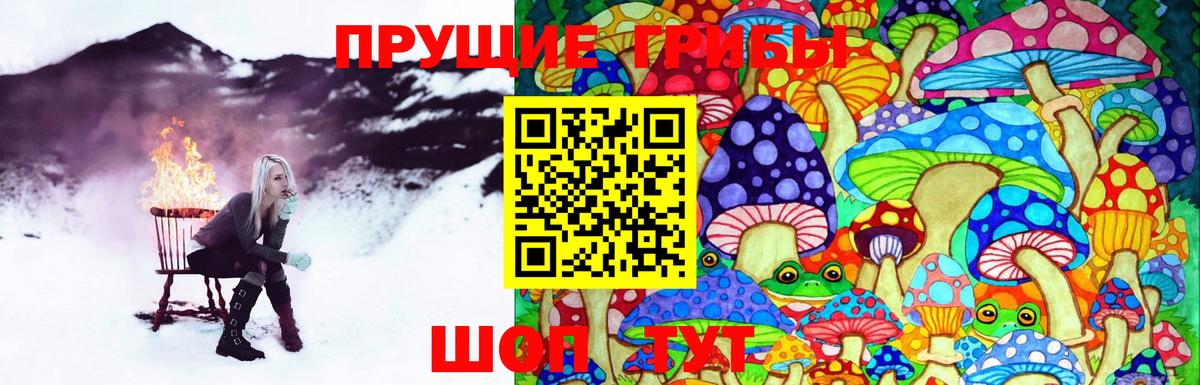 Галлюциногенные грибы Psilocybe  Галлюциногенные грибы мухоморы  Новотроицк  хочу наркоту  Вход с VPN 